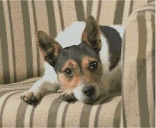 Jack Russell Puppy Dog Counted
