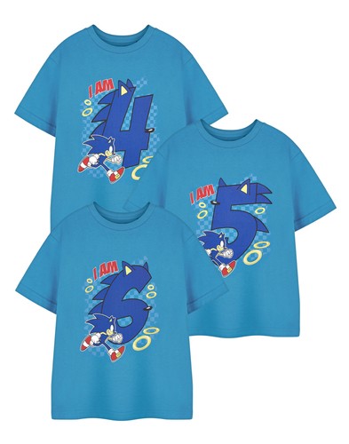 Sonic the hedgehog - the,