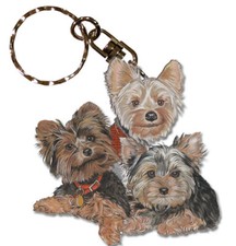 Yorkshire Terrier Yorkie