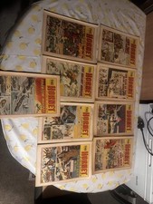 The Hornet Comics Issues