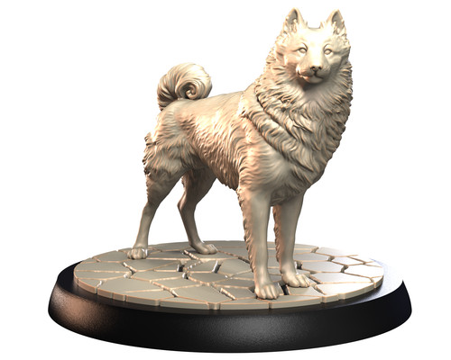 Dogs2 schipperke 1 - dogs2,