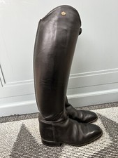 Konig /Koenig Favorit Dressage