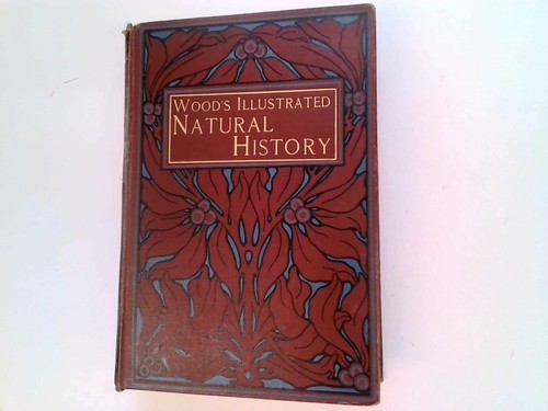 Wood illustrated natural - wood's,