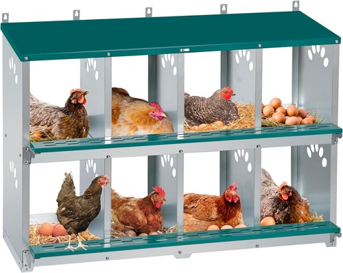 Hole chicken nesting - nesting, box