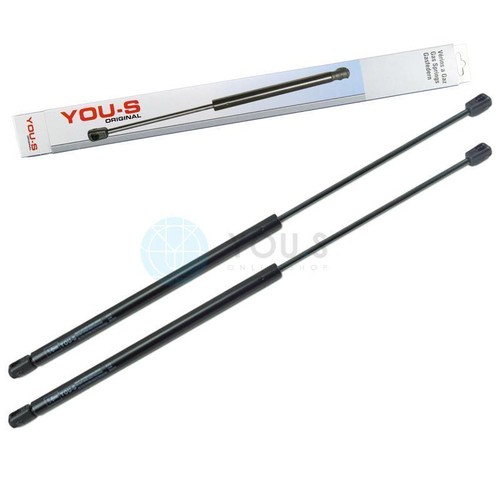 You gas struts - gas, fendt