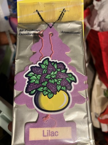 Little tree lilac - 4,