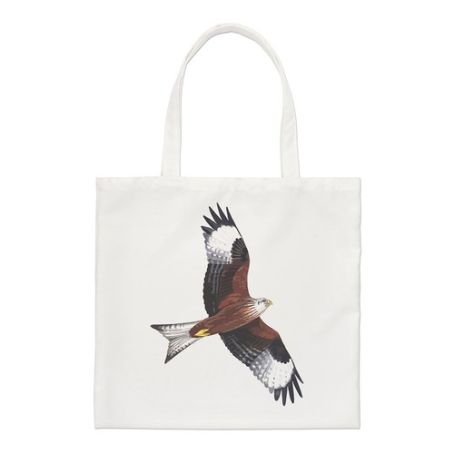 Red kite bird - red,