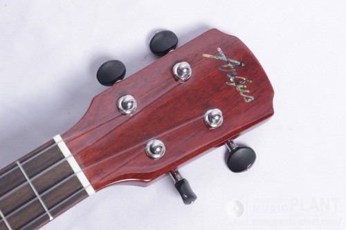 Argus mahogany concert - mahogany,