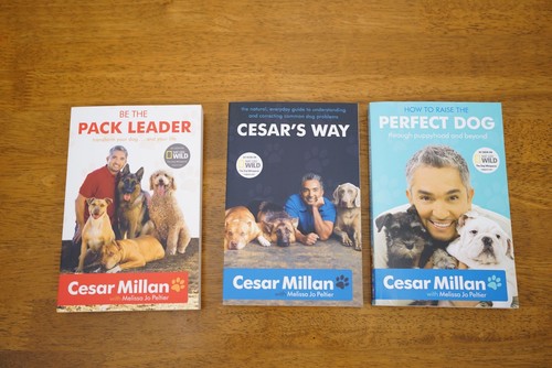 Cesar millan how to raise - how,