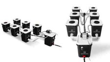 Deep Water Culture Twelve 20