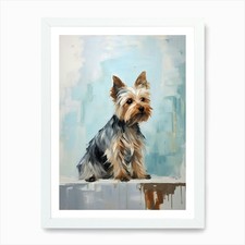 Yorkshire Terrier Dog