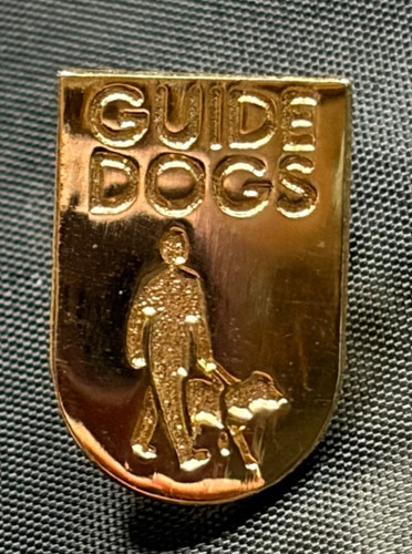 Guide dogs gold tone - guide,
