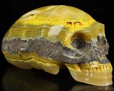 Gemstone 6.1" Bumble Bee