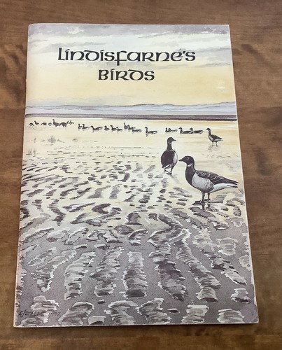 Lindisfarne birds ian - birds, by