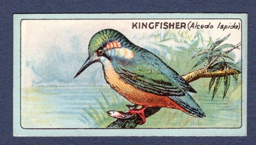 Kingfisher original 1922 - -,
