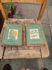 Wayside and Woodland Blossoms