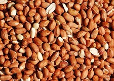 Bird Whole Peanuts - Quality Fresh Feed for Wild Birds 10 kg (Pack of 1) 