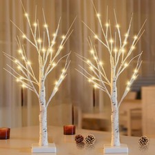 Small Birch Tree with 24 Warm