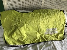 4ft3inch  Fluorescent Exercise Sheet