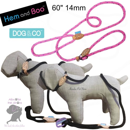 Pink hem boo dog co - hem, &