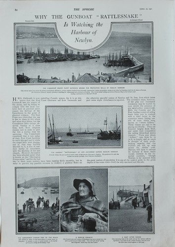 1901 print gunboat rattlesnake - print,
