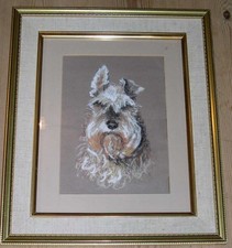 ORIGINAL MINIATURE SCHNAUZER PASTEL PAINTING FRAMED SIGNED 1975