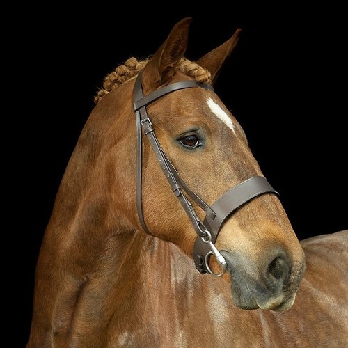 Gallop leather hunter - leather, &