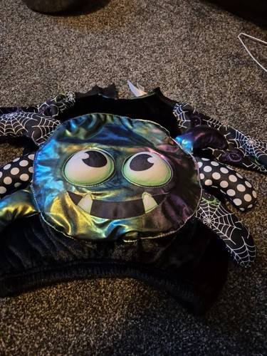 Spider costume for halloween - spider,