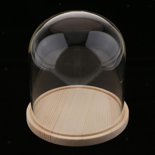 Large glass bell jar - , with