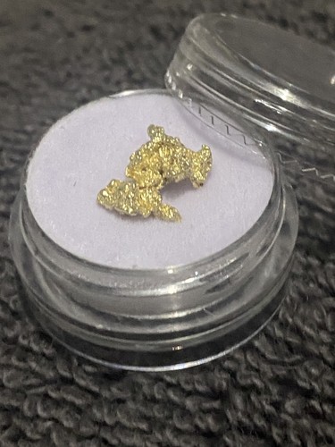 33g raw gold alaskan nuggets - 1.33g,