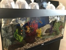 Juwel Rio 180 Aquarium and