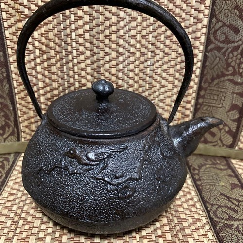 Nanbu tekki teapot - kettle, iron