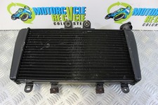 Triumph Speed Triple 1050