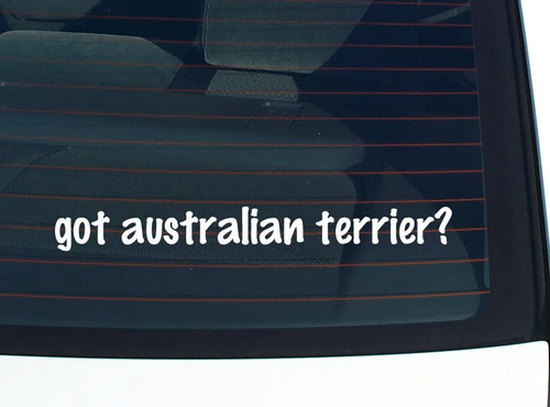 Got australian terrier car - australian,