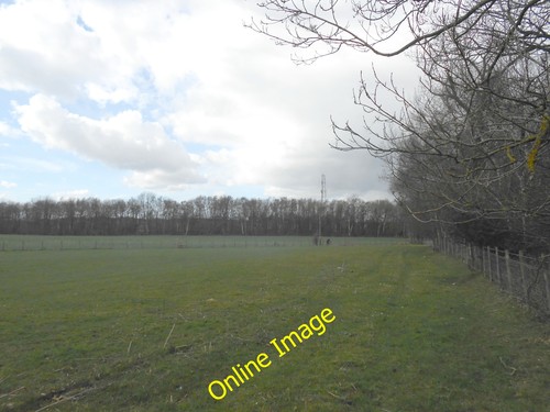 Photo 12x8 field and trackway - photo,