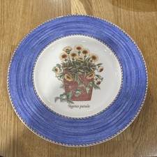 VTG Wedgwood SARAH'S GARDEN TAGETES PATULA Queen's Ware Blue Salad Plate