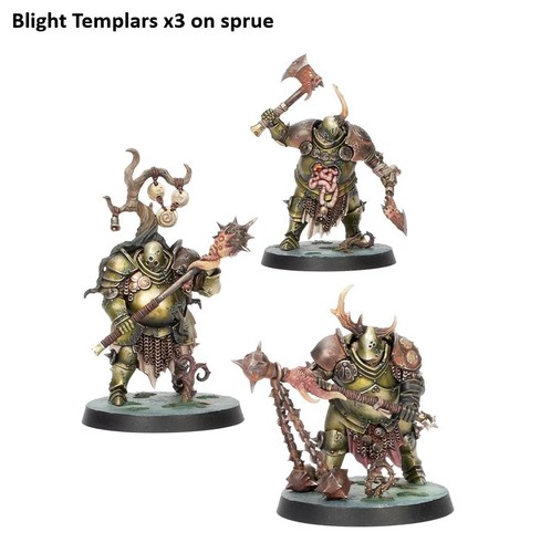 Blight templars warhamme - blight, x3
