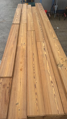 American pitch pine - american,