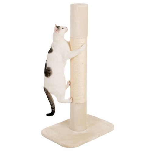 Tall jumbo cat - cat, post