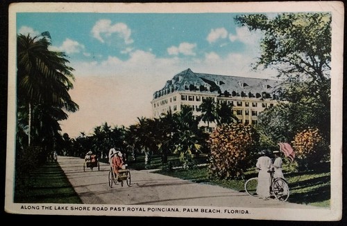 Palm beach florida postcard - palm,