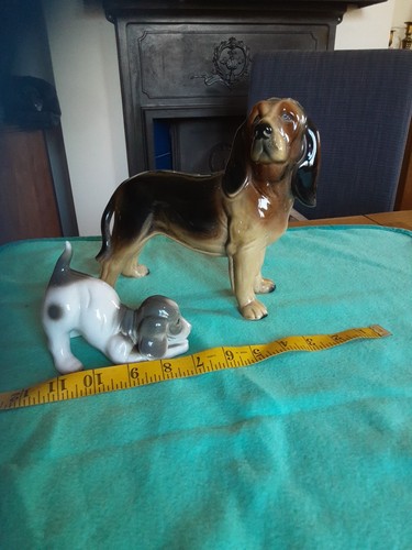 China dogs - china,