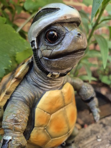 Tortoise gift garden - garden, ornament
