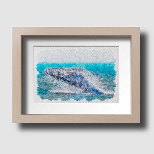 Blue whale sea wildlife - sea,