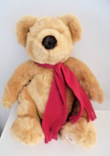 Millennium teddy bear - teddy,