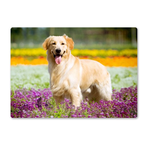 Metal wall sign dogs - sign,