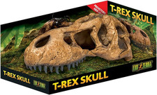 Rex skull brown - rex, skull,brown