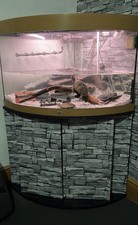 Juwel Fish Tank and Stand