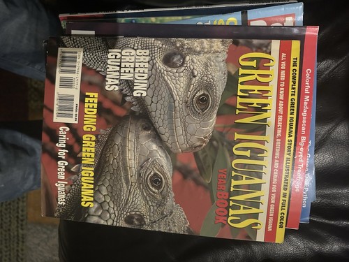 Green iguanas yearbook - green,