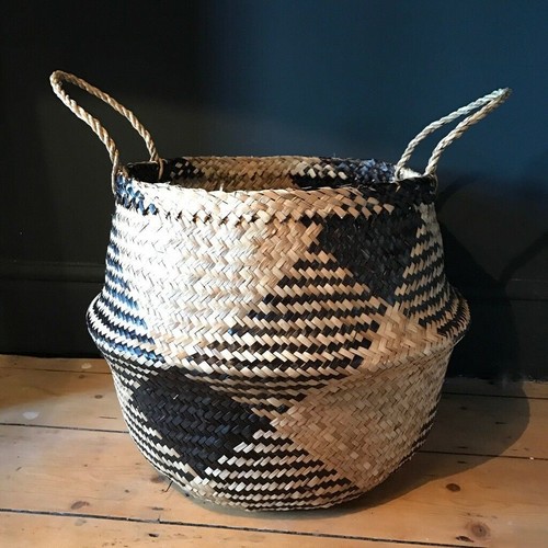 Large plant pot - plant,