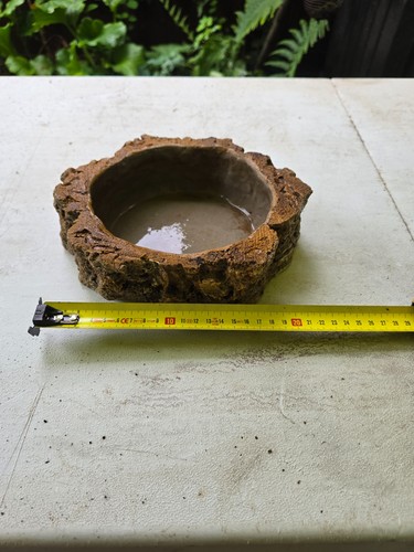 Reptile water dish lizard - dish, xl